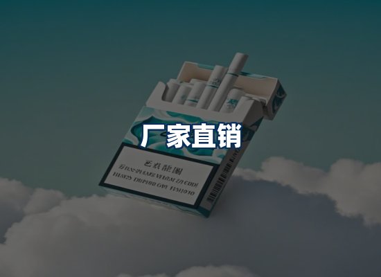 专业团队办公环境
